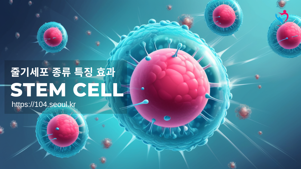 줄기세포 종류 특징 효과