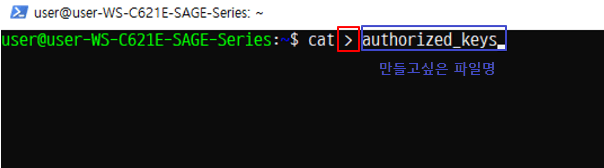cat을 통한 파일 생성