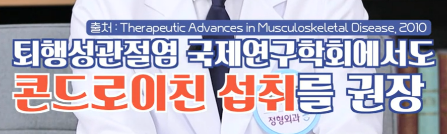 콘드로이친
