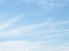 ENTP 유형 특징 분석