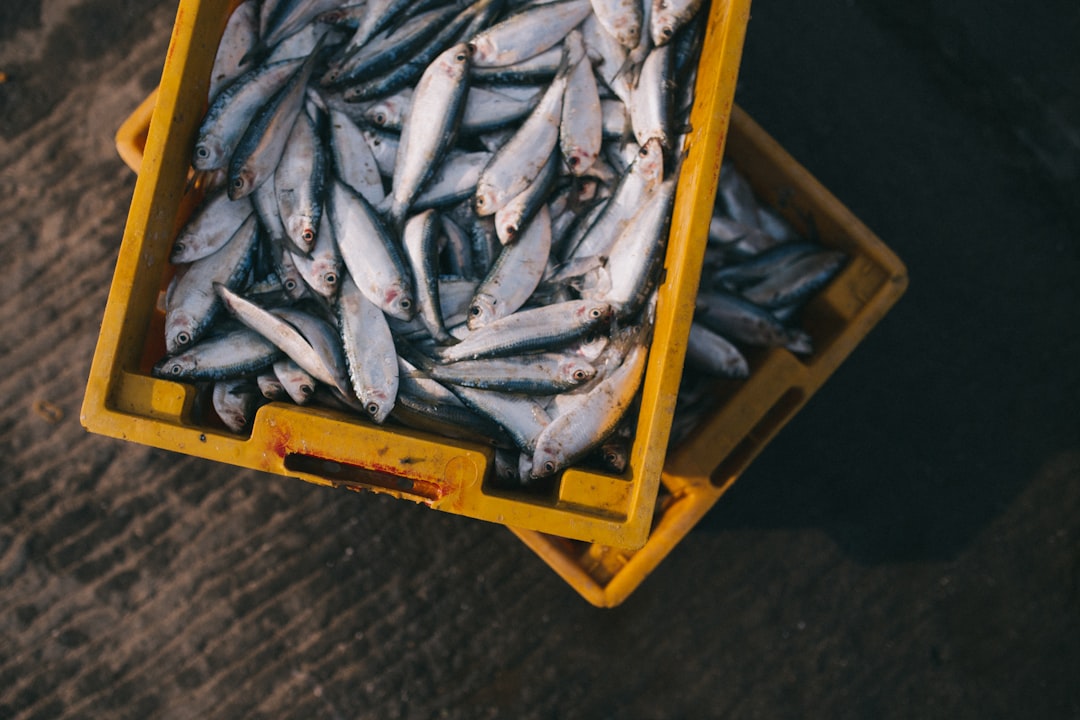 Fish market