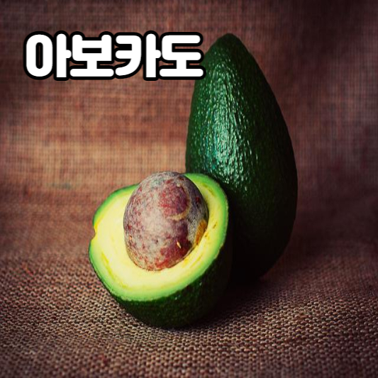 아보카도