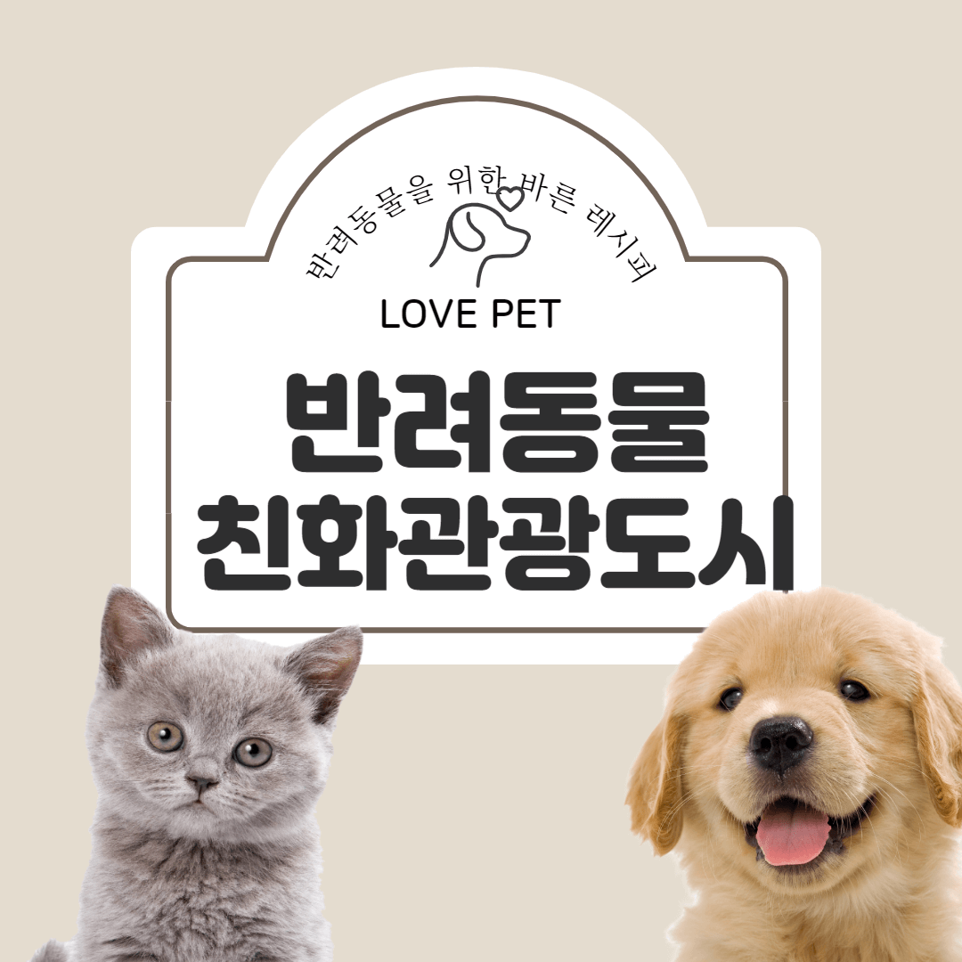 반려동물과 여행하기