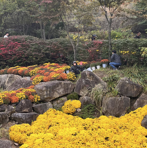 화담숲8