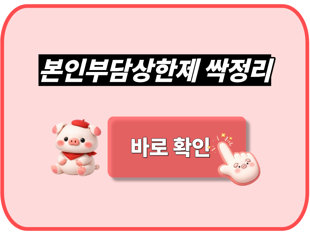 본인부담상한제 쉽게 이해하기