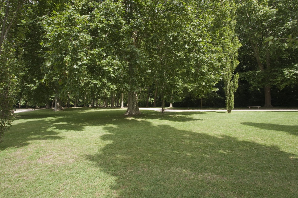 햇빛 알레르기 (Sun Allergy)