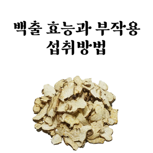 백출 효능과 부작용&#44; 섭취 방법