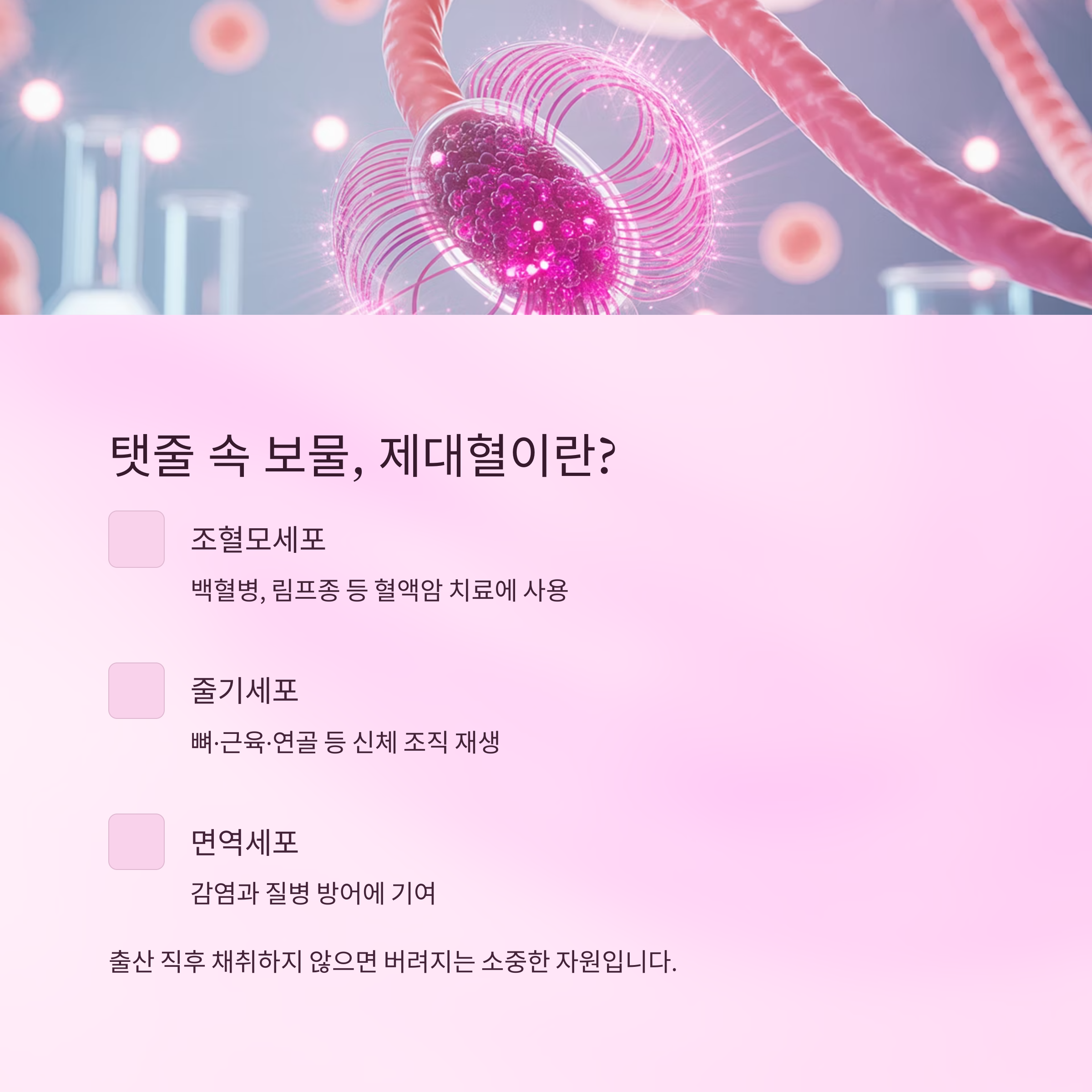 탯줄 속 세포 이미지와 함께 제대혈의 구성요소(조혈모세포, 줄기세포, 면역세포)와 역할을 설명한 인포그래픽