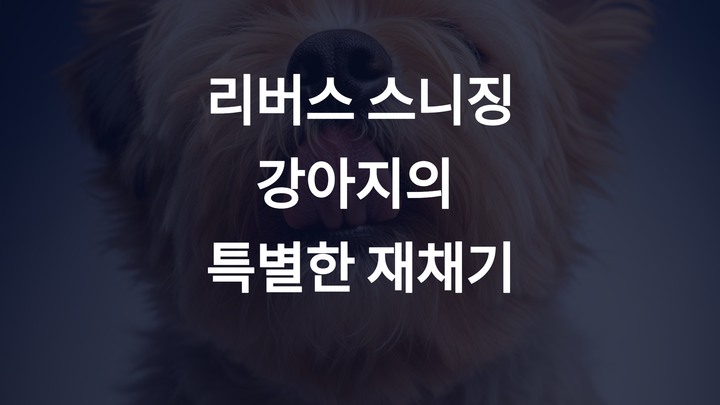 🐶 리버스 스니징이란? 원인과 대처법