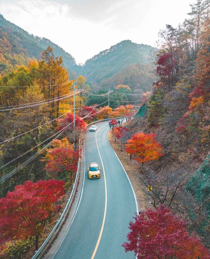 가을 단풍 여행 지도(3) - 충청도 - 장태산&amp;#44; 대둔산&amp;#44; 신성리갈대밭&amp;#44; 보발재&amp;#44; 문광저수지&amp;#44; 말티재 추천지 6곳!!9
