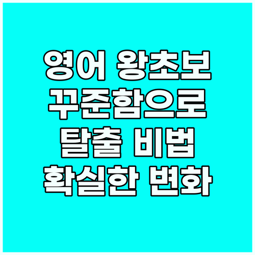 영어 학습, 꾸준함으로 왕초보 탈출하..