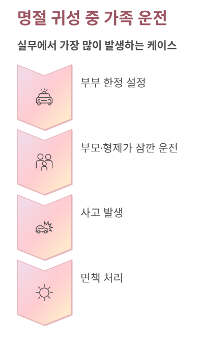명절 귀성 중 가족 운전