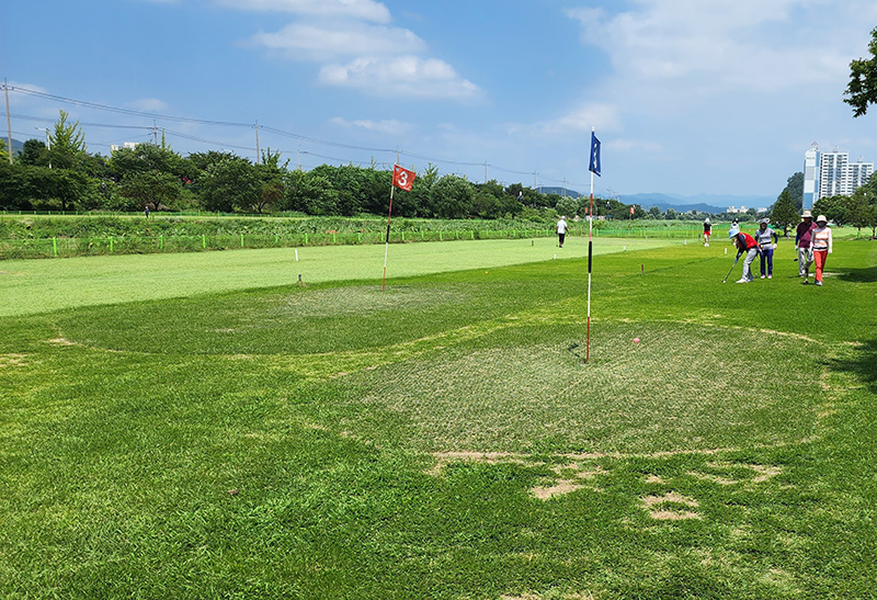 강원도 원주 태장동파크골프장 (원주파크골프장) 소개