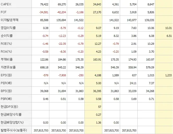 LG디스플레이-재무제표2