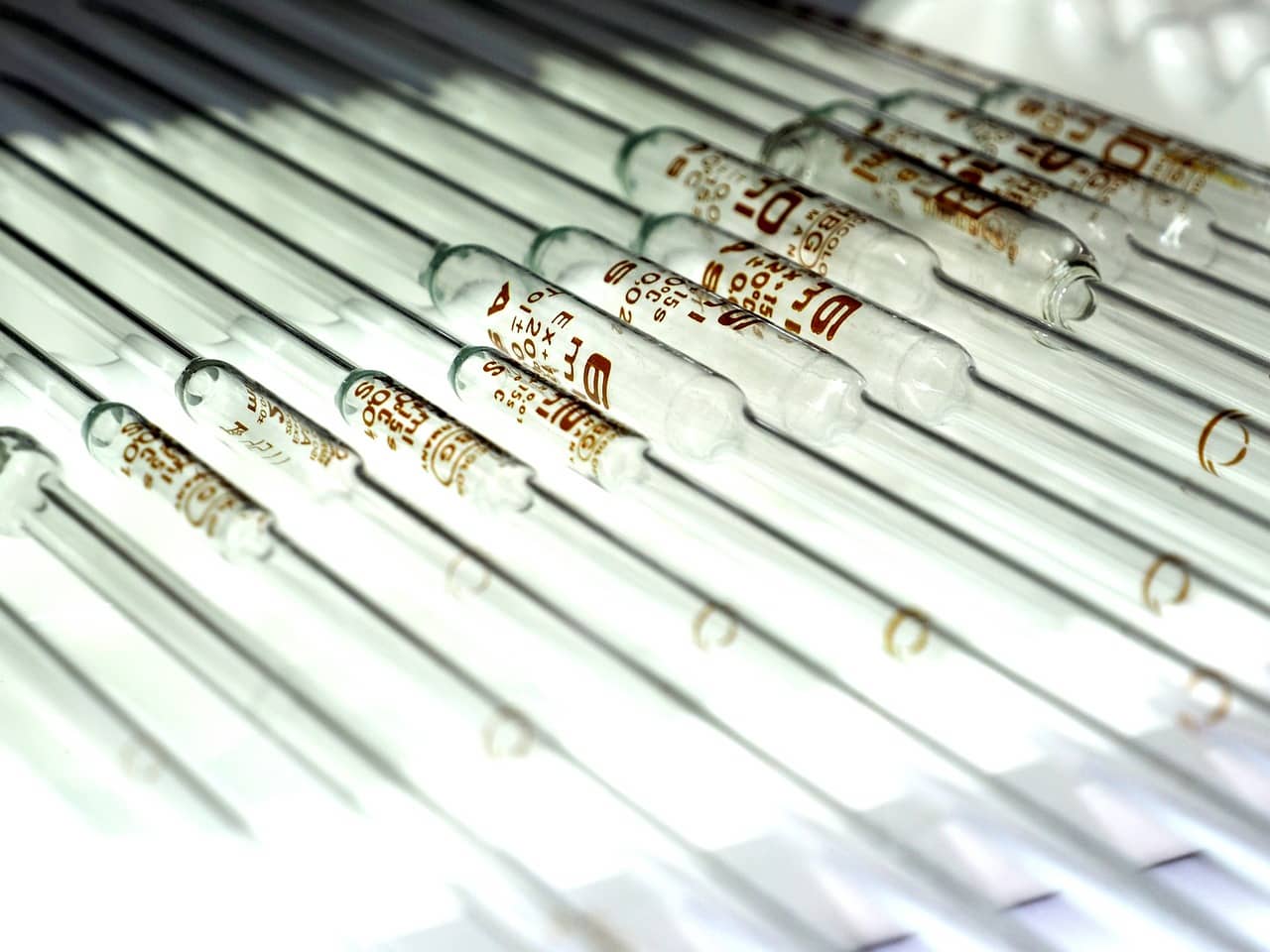 8. 배양육이 전통 육류 산업을 대체할 수 있을까?