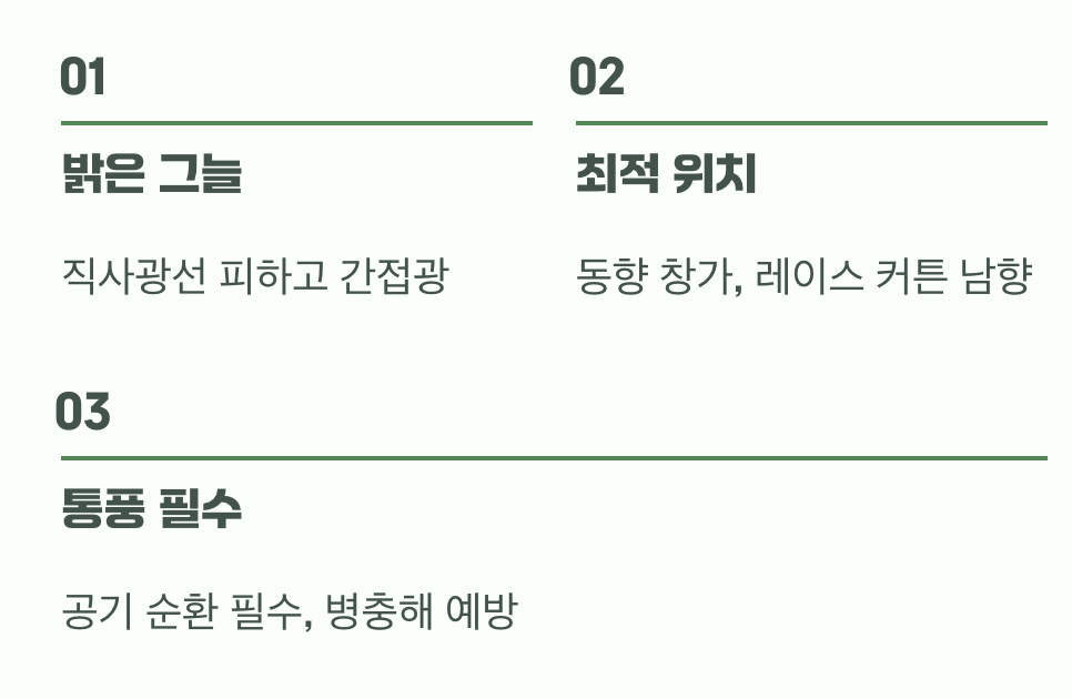 2. 요정이 좋아하는 자리 (햇빛과 통풍)