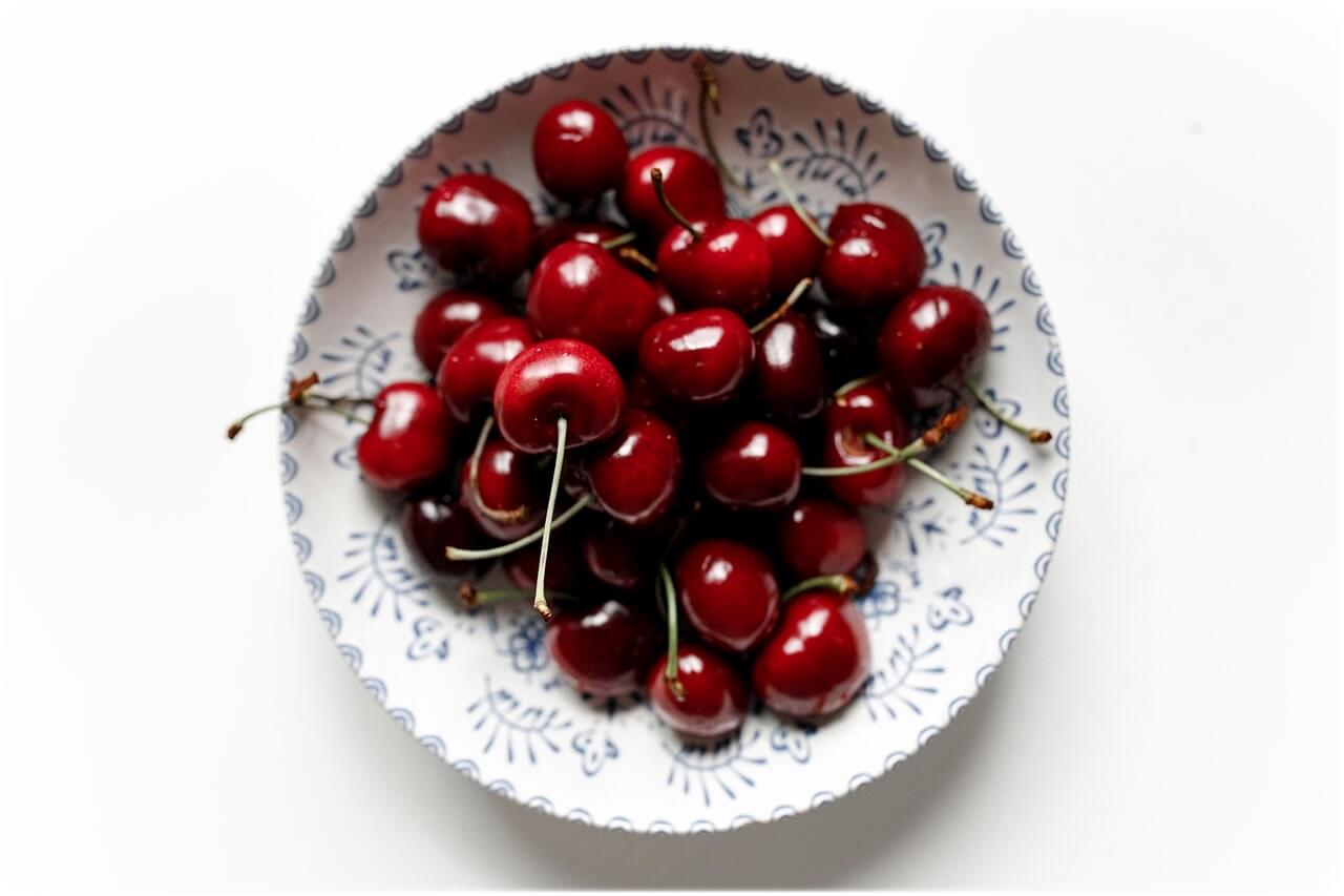 강아지 피부에 좋은 음식