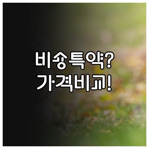 비숑 펫보험 가격과 피부병 특약 비교..