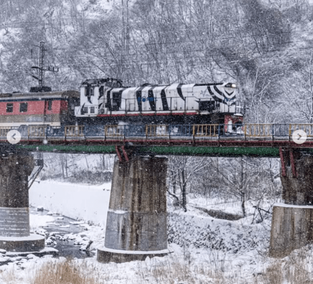 태백의 설경을 달리는 기차