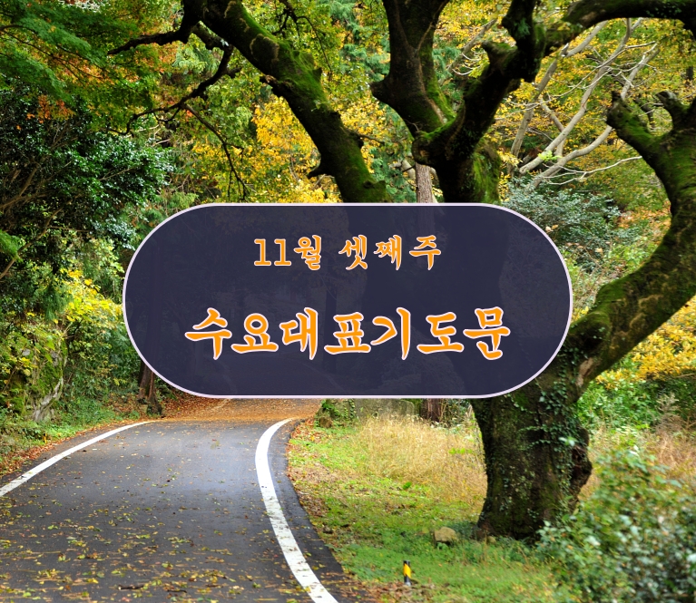 수요 예배 대표기도문 11월 셋째주(수능 기도문)