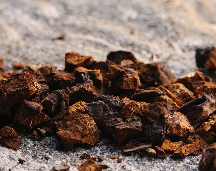 버섯-가루와-조각