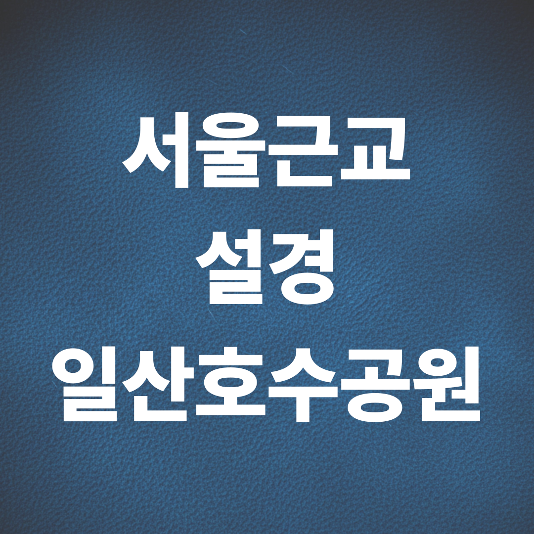 서울 근교 설경 데이트, 일산호수공원 필수 코스