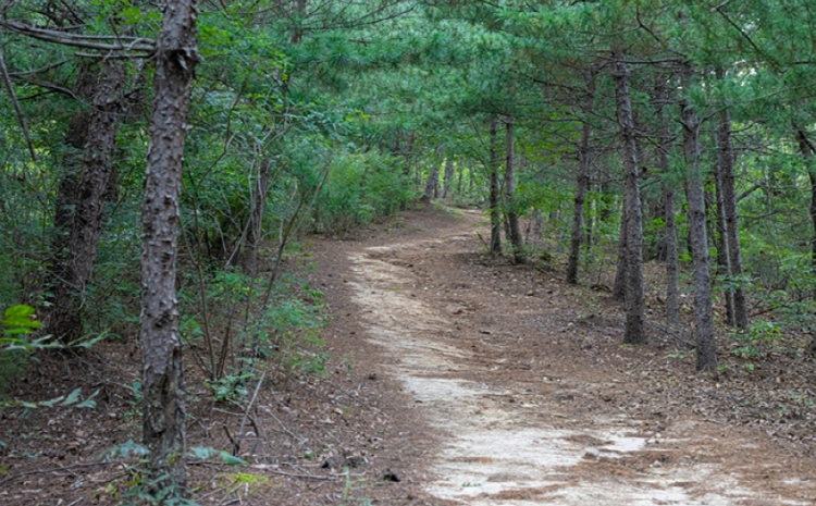 불곡산 등산코스