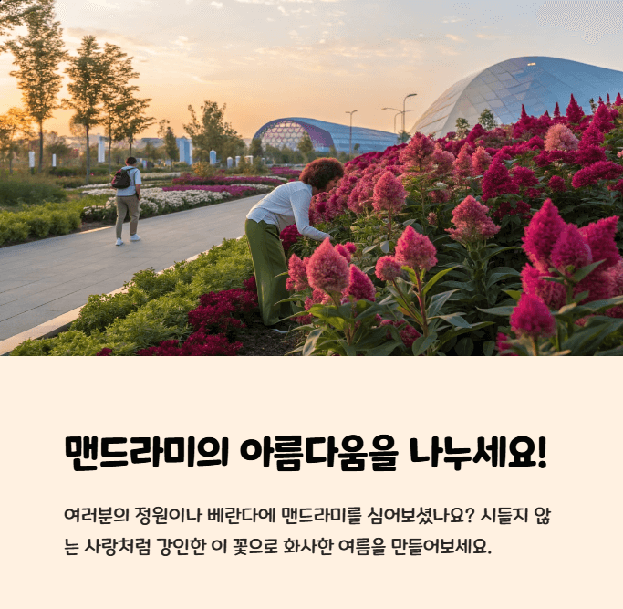 맨드라미