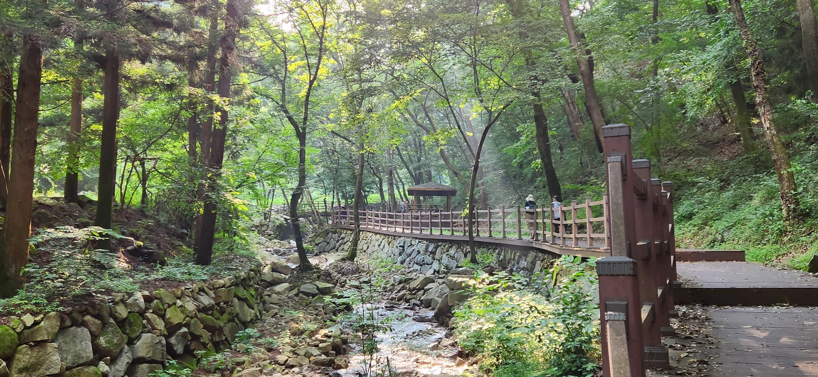 네번째 방문 장성 치유의숲