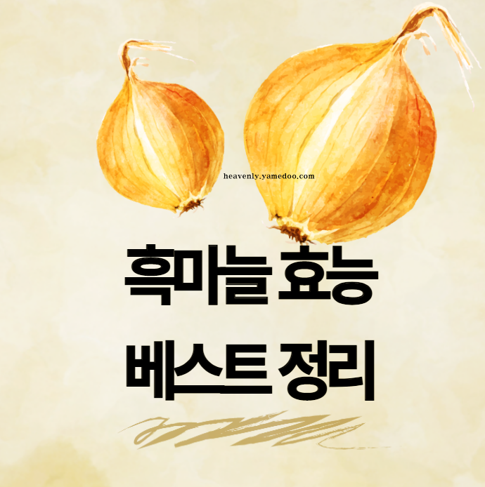 흑마늘 효능