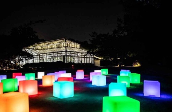 창경궁-미디어아트 물빛연화 모습