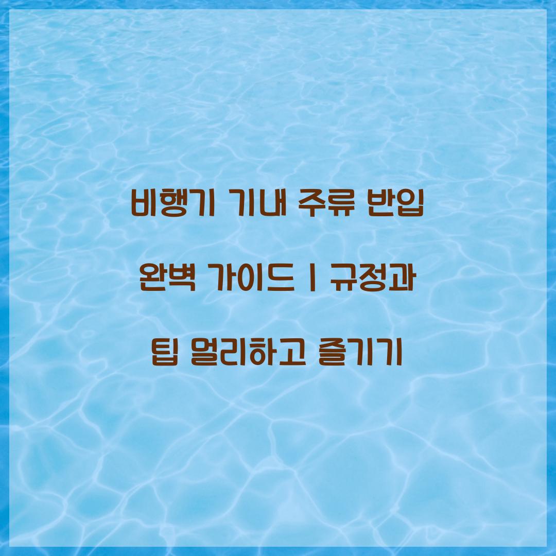 비행기 기내 주류 반입