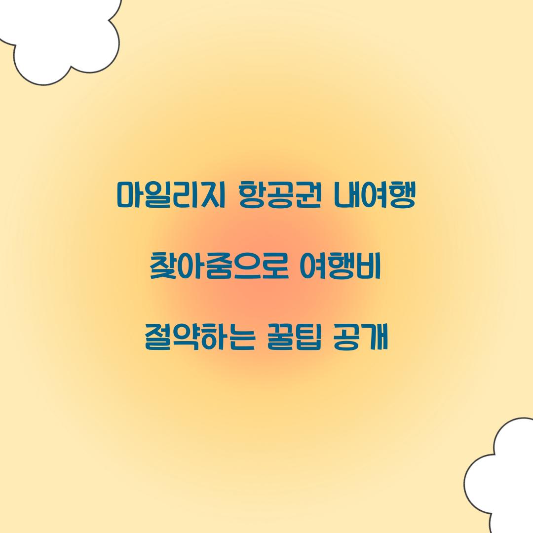 마일리지 항공권 내여행 찾아줌