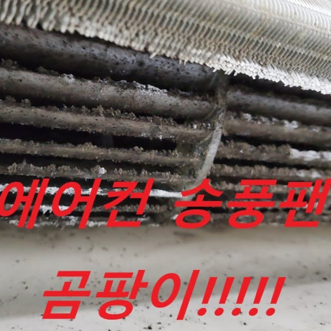 에어컨 청소 안 하면 생기는 일 5가지 (경험담 중심)
