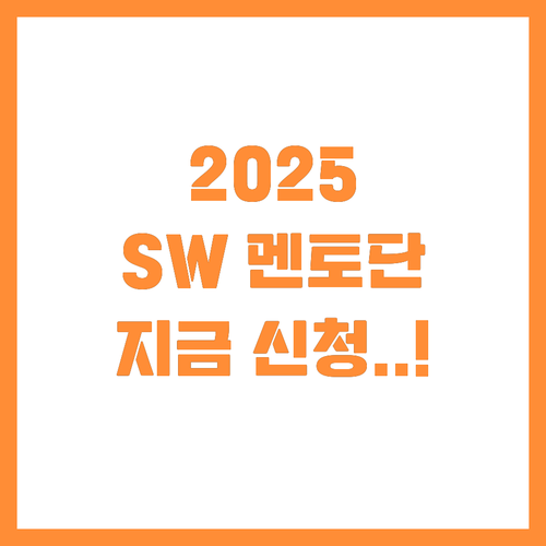 125명 규모의 2025년 SW 멘토..