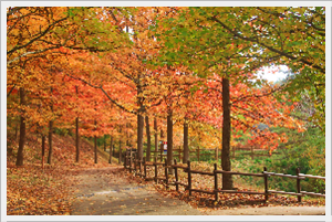 진주반성수목원