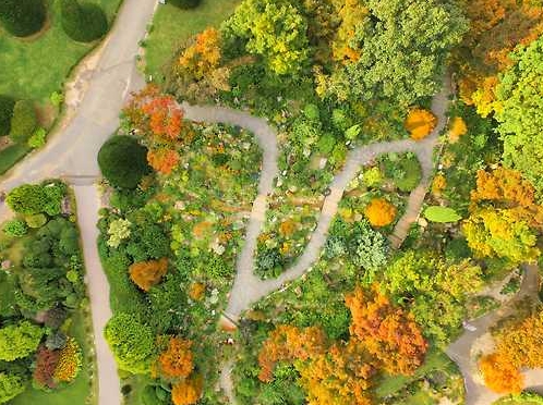 가평 아침 고요 수목원