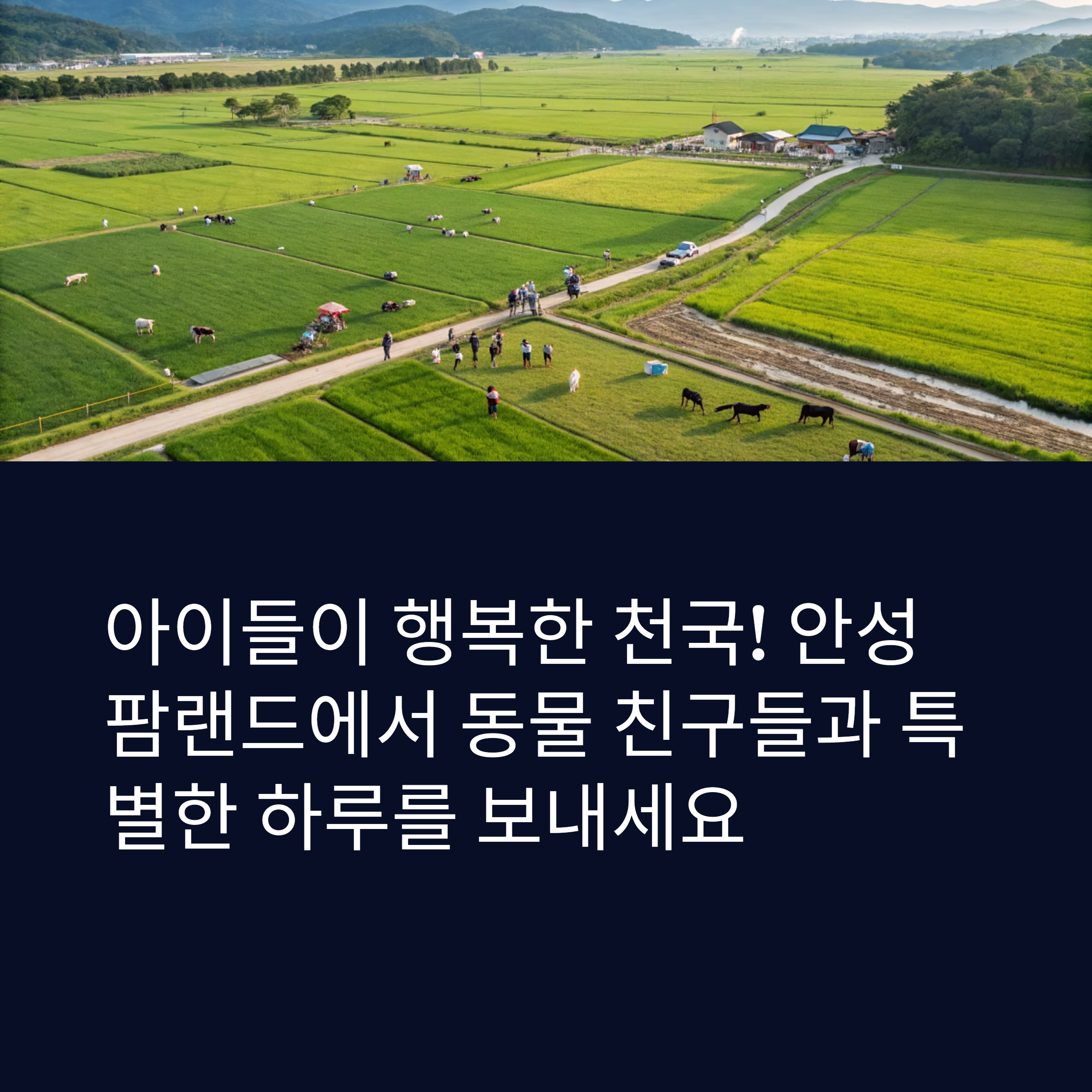 안성 팜랜드에서 즐기는 특별한 하루, 동물 체험부터 승마까지
