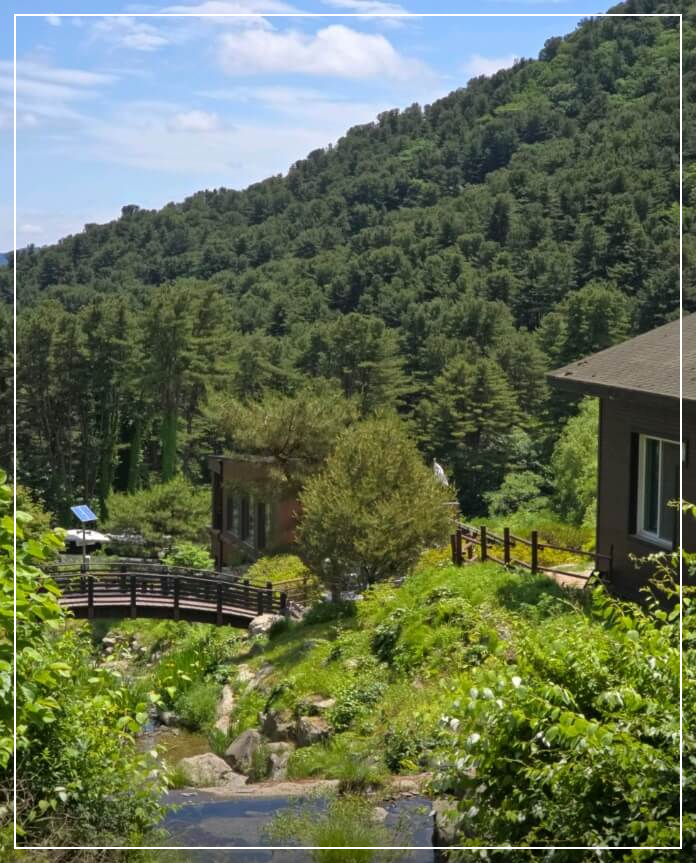 가평 가볼만한곳 베스트10 잣향기푸른숲