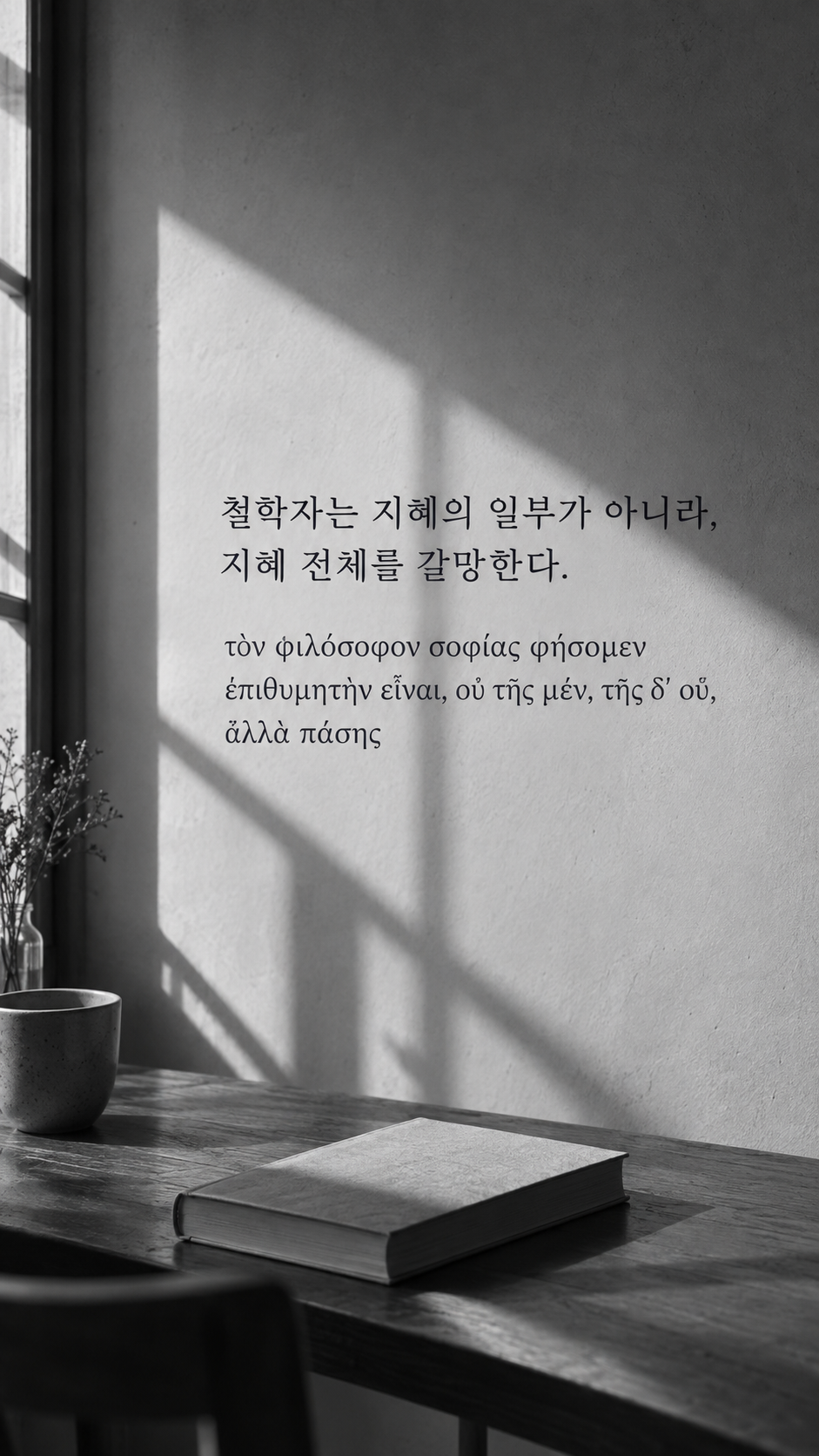 플라톤 명언 10 철학자는 지혜의 일부가 아니라, 지혜 전체를 갈망한다. 책 한 권과 창문 그림자 배경의 한글·그리스어 세로 이미지