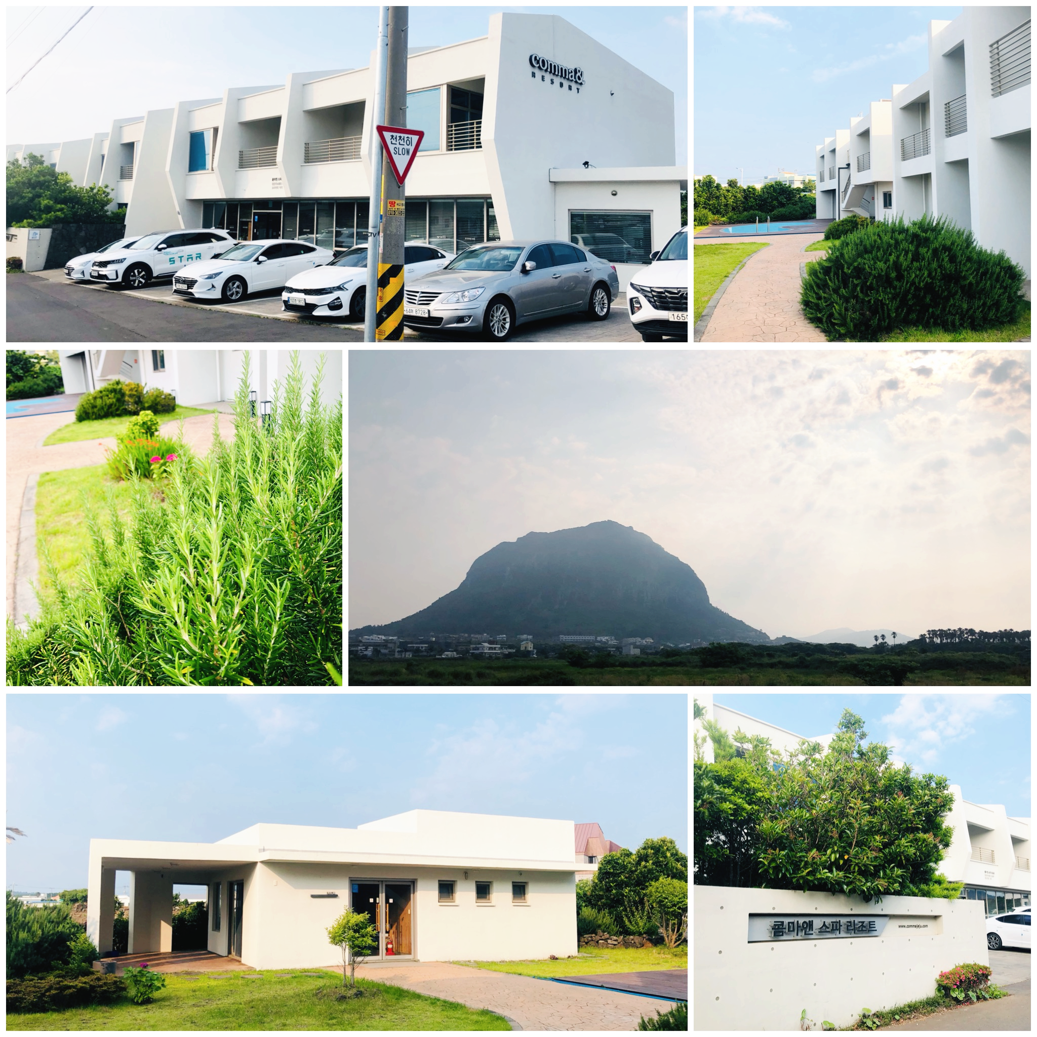 제주 산방산 숙소 콤마앤리조트