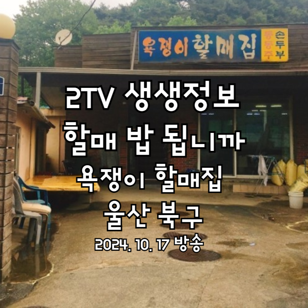 욕쟁이 할매집 송의주 할머니 손두부