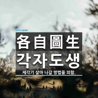 각자도생 뜻 유래 한자 비슷한 말 예문 영어 속담 반대말_35