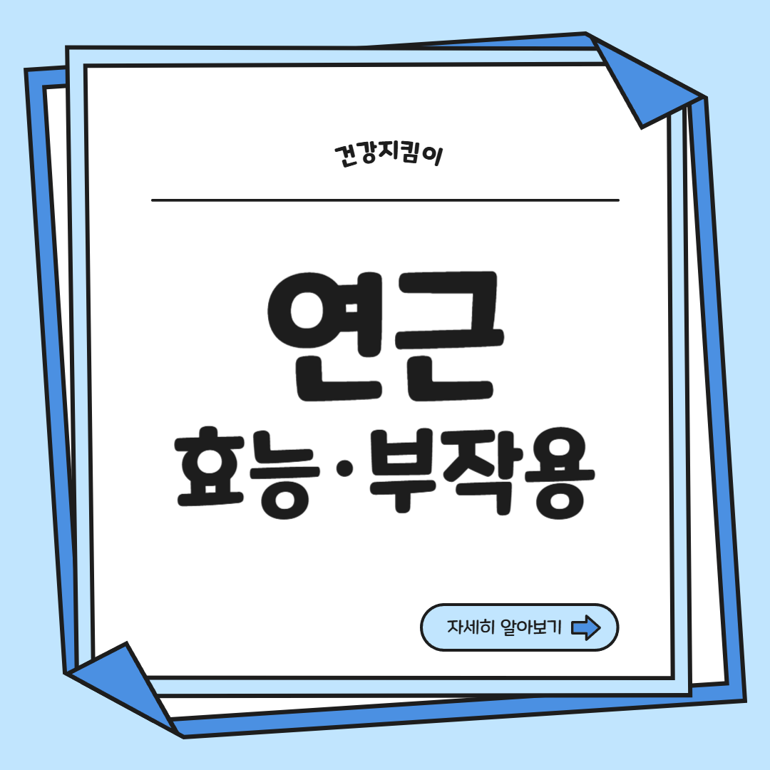 연근 효능과 부작용 먹는법 고르는법 칼로리