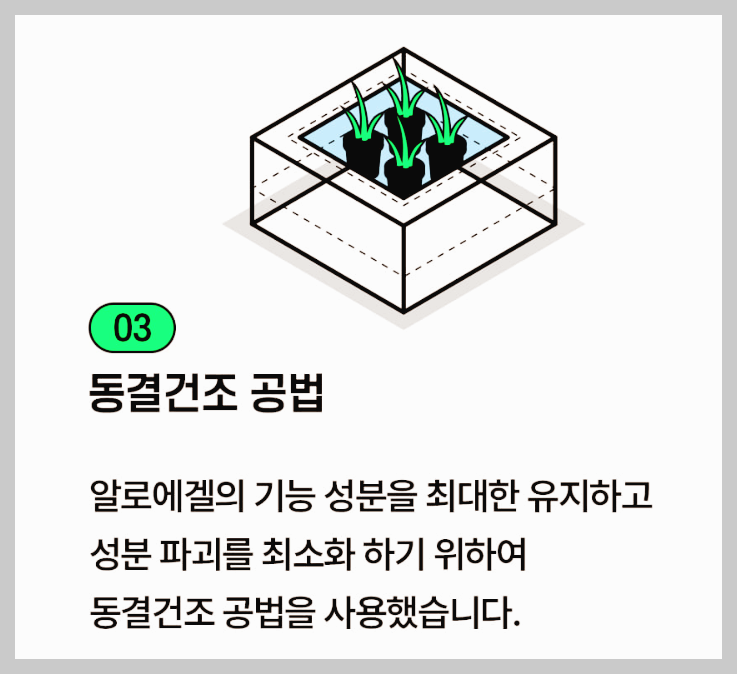 웰릿 이뮨베라 경험담, 먹기전 제대로 알기