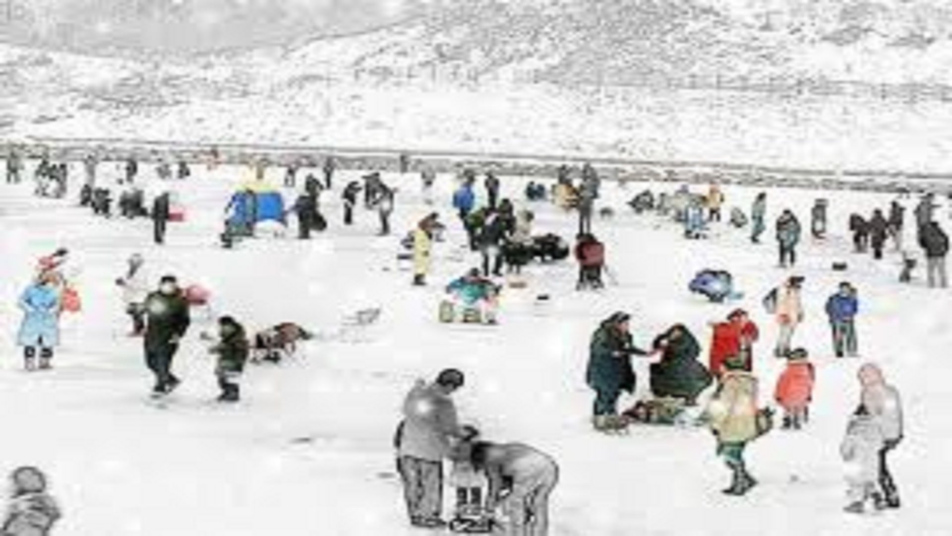 경기도 파주 초리골 축제