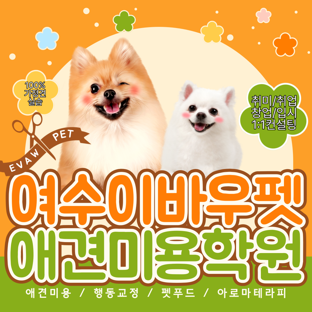 여수애견미용학원