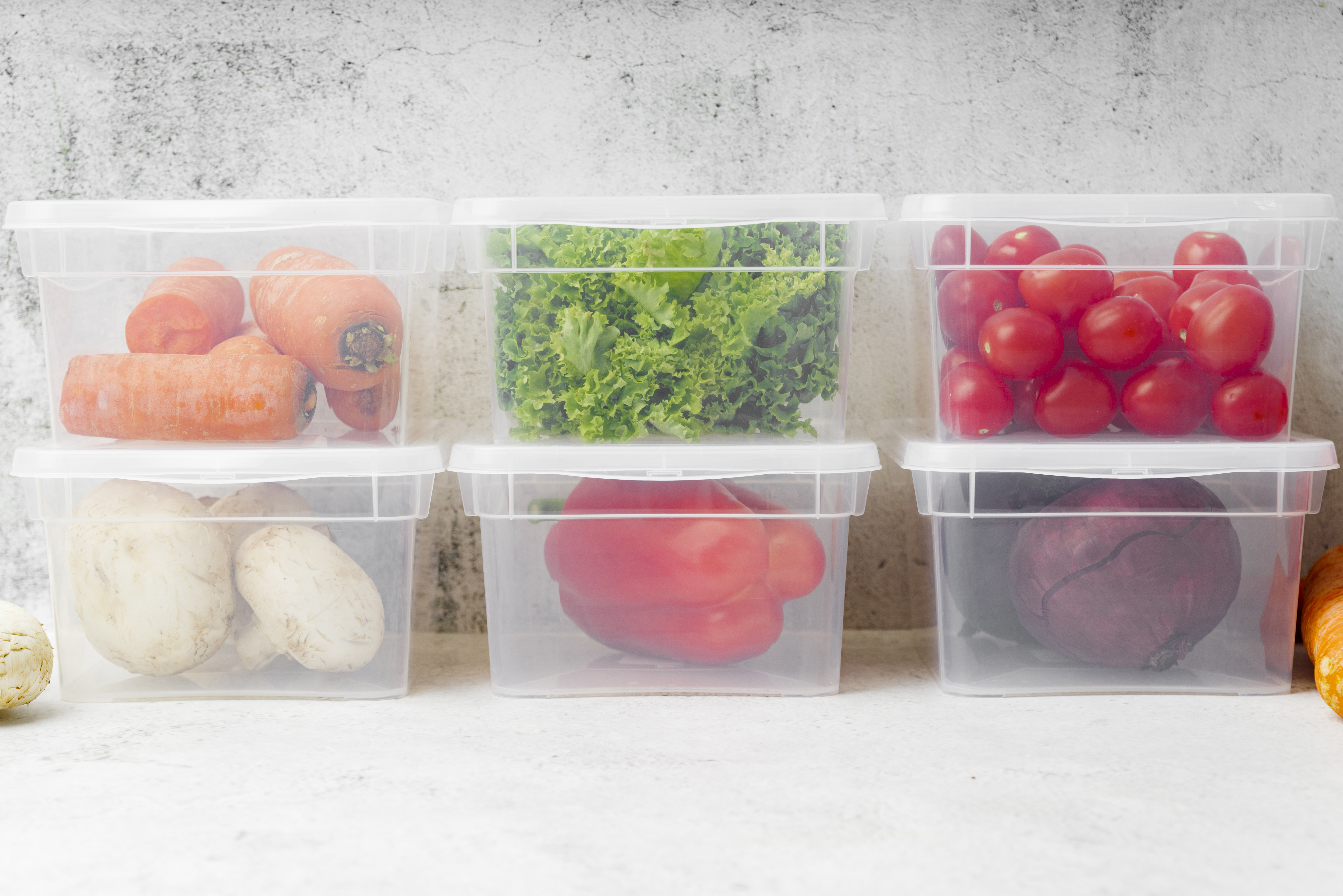 냉장고 정리 꿀팁: 칸별 수납부터 오래 쓰는 법까지 한눈에!