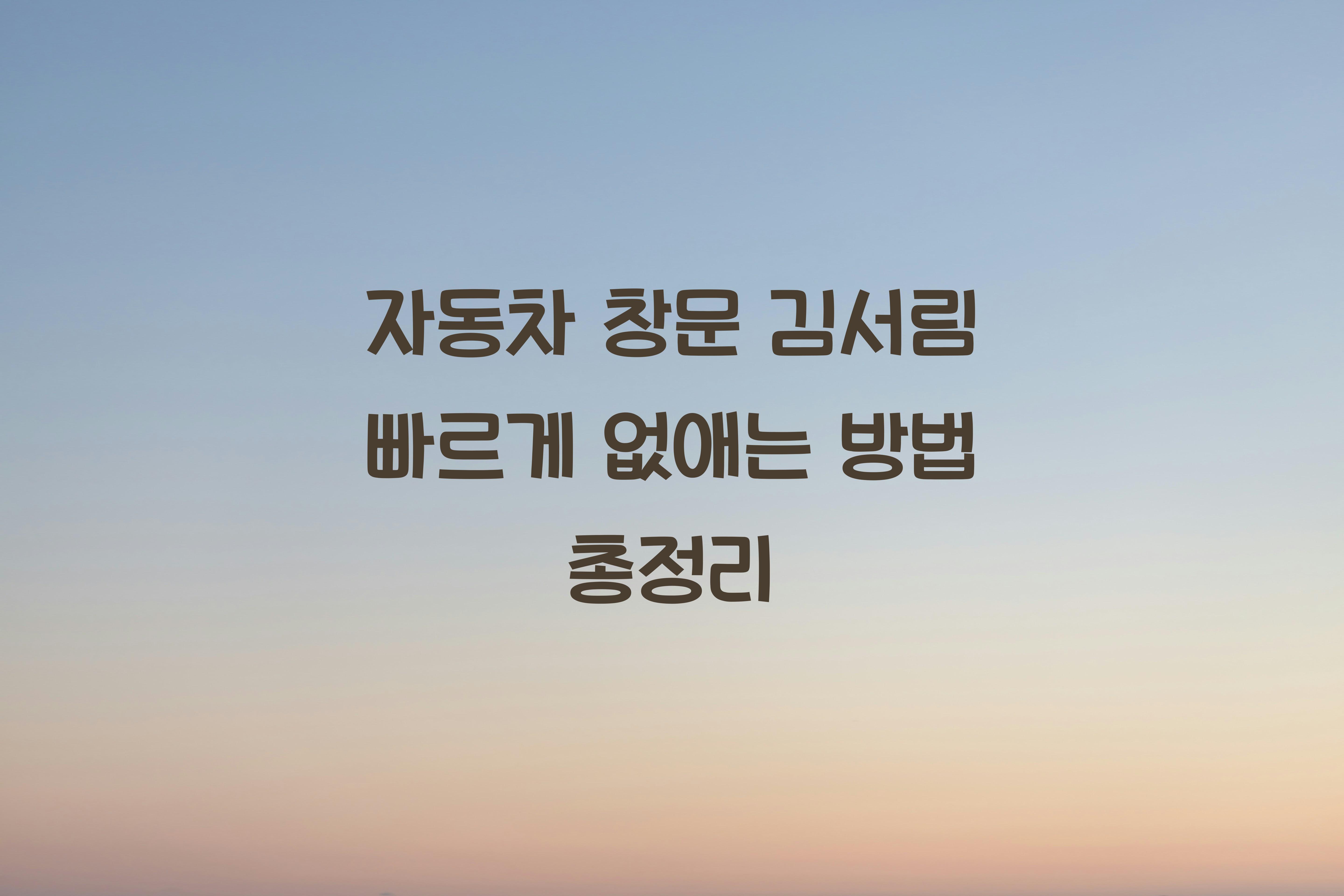자동차 창문 김서림 빠르게 없애는 방법