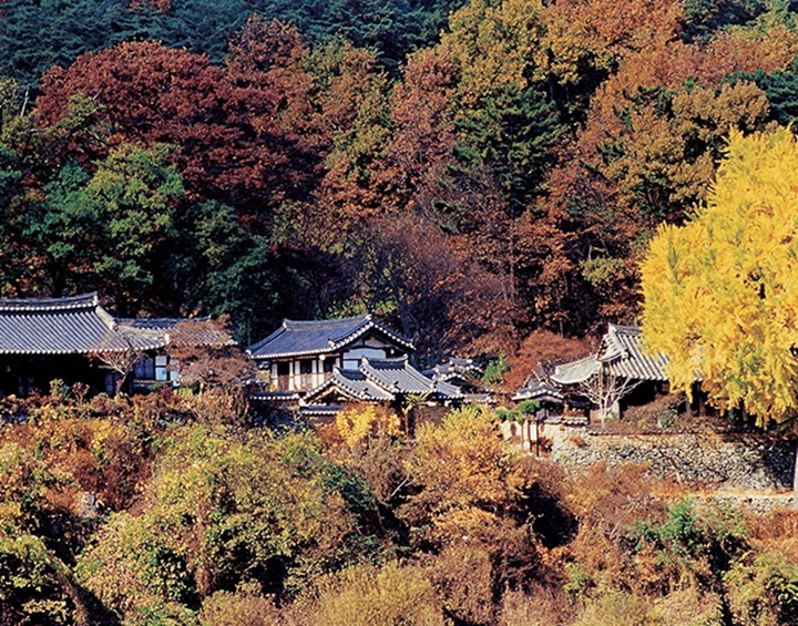 밀양 가볼만한곳